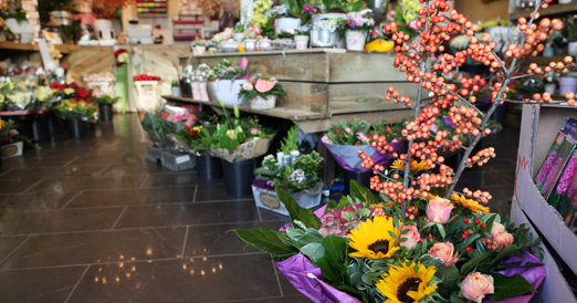 Untitled-16_0055_creatief image